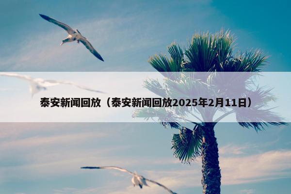 泰安新闻回放（泰安新闻回放2025年2月11日）