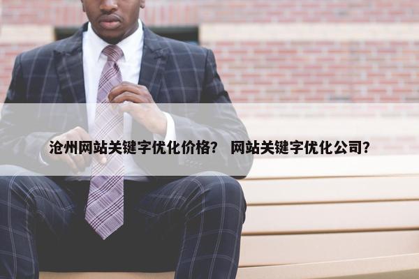 沧州网站关键字优化价格？ 网站关键字优化公司？