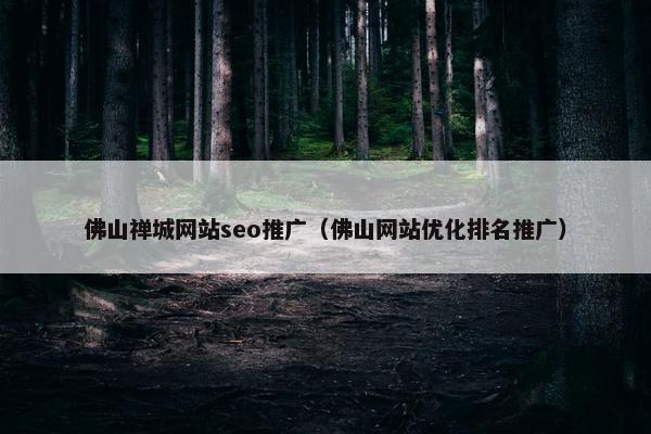 佛山禅城网站seo推广（佛山网站优化排名推广）