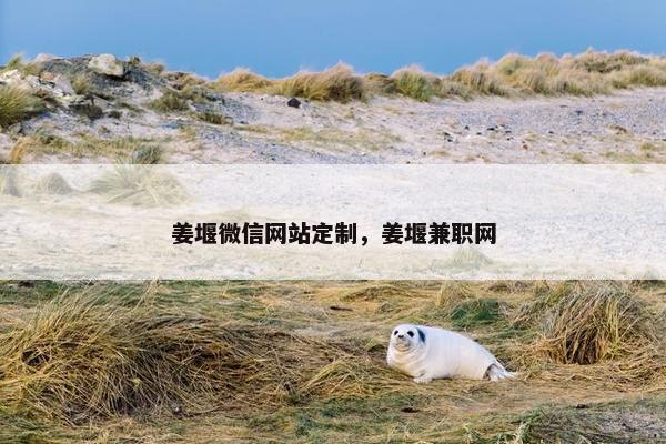 姜堰微信网站定制，姜堰兼职网