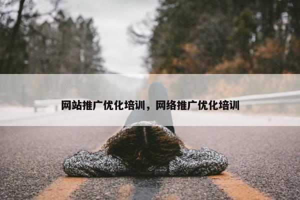 网站推广优化培训，网络推广优化培训