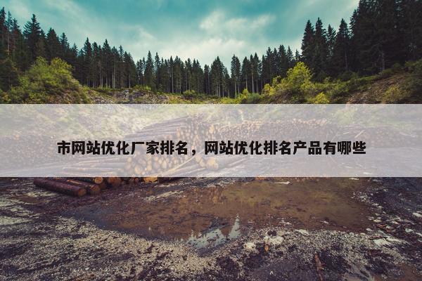 市网站优化厂家排名，网站优化排名产品有哪些