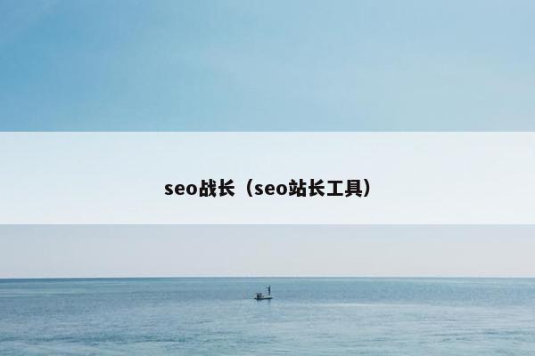 seo战长（seo站长工具）