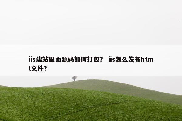 iis建站里面源码如何打包？ iis怎么发布html文件？