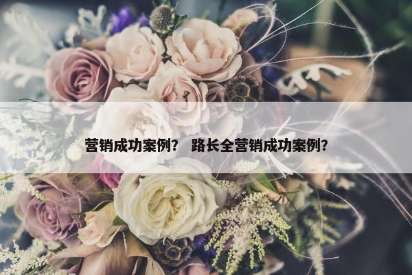 营销成功案例？ 路长全营销成功案例？