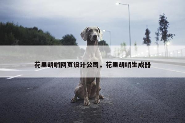 花里胡哨网页设计公司，花里胡哨生成器
