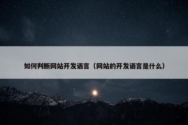 如何判断网站开发语言（网站的开发语言是什么）