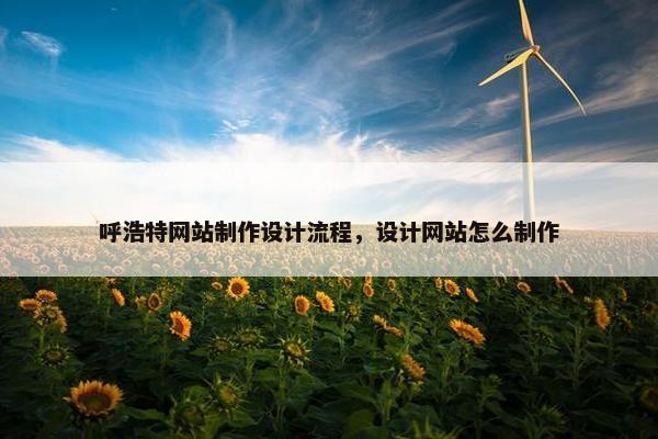 呼浩特网站制作设计流程，设计网站怎么制作