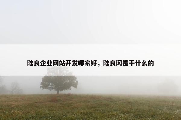 陆良企业网站开发哪家好，陆良网是干什么的