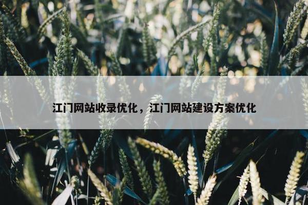 江门网站收录优化，江门网站建设方案优化