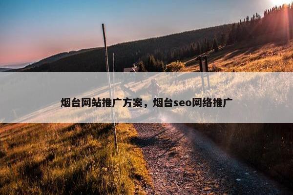 烟台网站推广方案，烟台seo网络推广