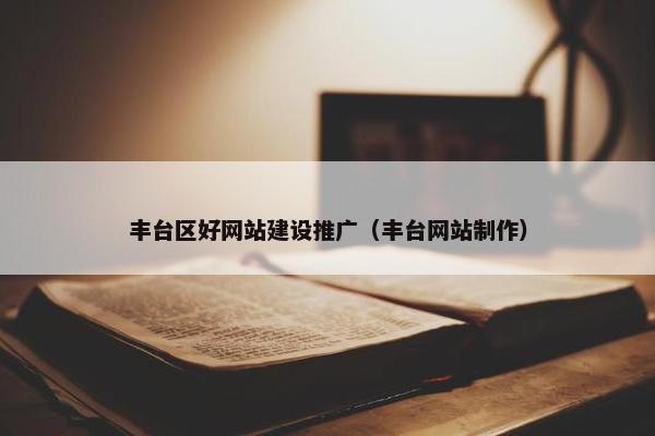 丰台区好网站建设推广（丰台网站制作）