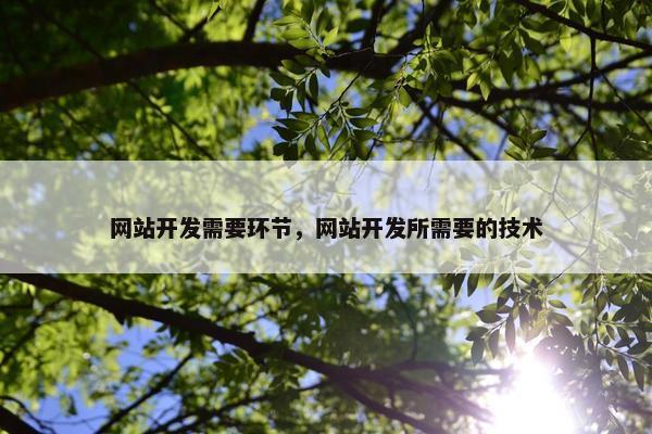 网站开发需要环节，网站开发所需要的技术