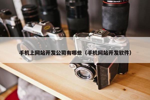 手机上网站开发公司有哪些（手机网站开发软件）