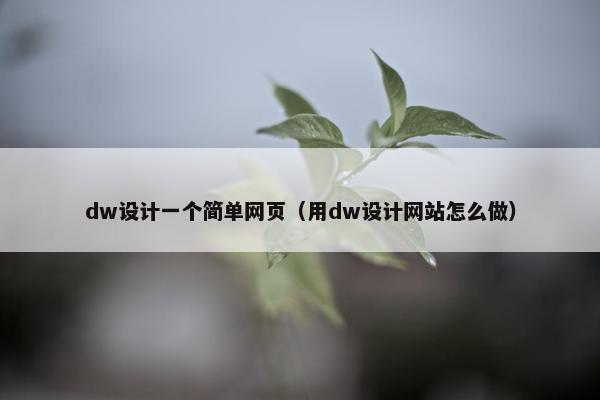 dw设计一个简单网页（用dw设计网站怎么做）