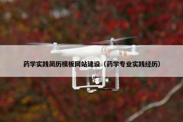 药学实践简历模板网站建设（药学专业实践经历）