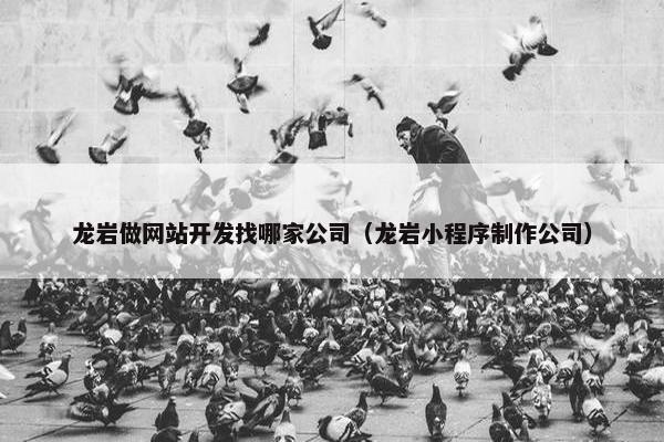 龙岩做网站开发找哪家公司（龙岩小程序制作公司）