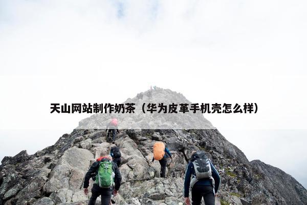 天山网站制作奶茶（华为皮革手机壳怎么样）