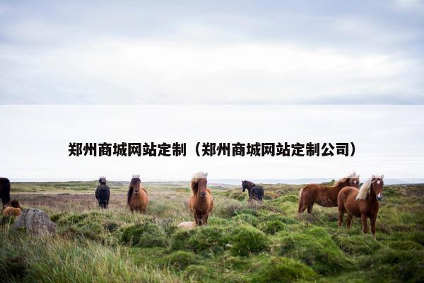郑州商城网站定制（郑州商城网站定制公司）