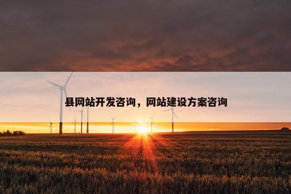 县网站开发咨询，网站建设方案咨询