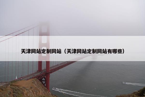 天津网站定制网站（天津网站定制网站有哪些）