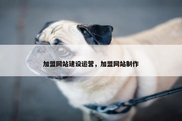加盟网站建设运营，加盟网站制作