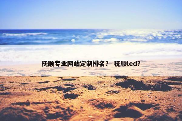 抚顺专业网站定制排名？ 抚顺led？