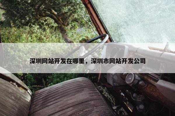 深圳网站开发在哪里，深圳市网站开发公司