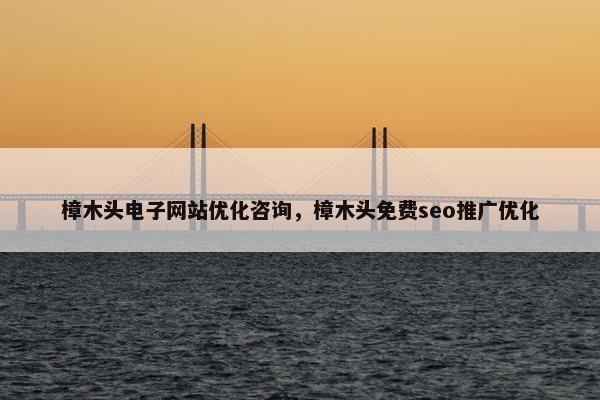 樟木头电子网站优化咨询，樟木头免费seo推广优化