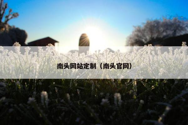 南头网站定制（南头官网）