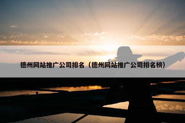 德州网站推广公司排名（德州网站推广公司排名榜）