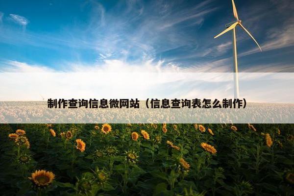 制作查询信息微网站（信息查询表怎么制作）