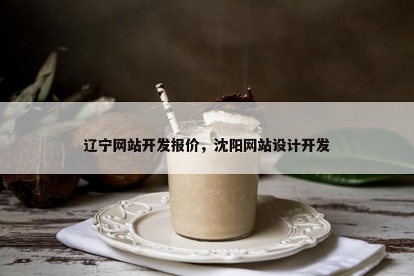 辽宁网站开发报价，沈阳网站设计开发