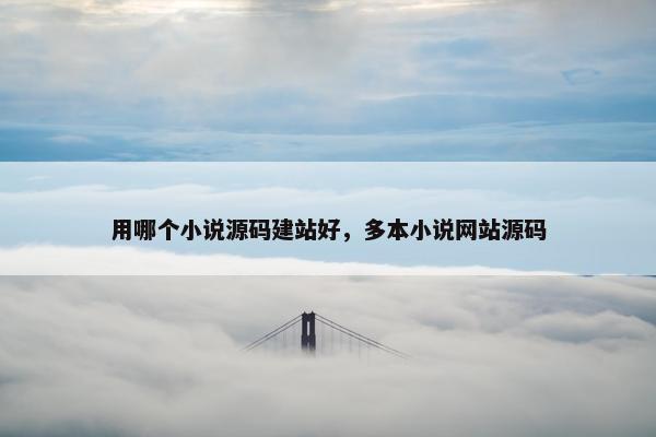 用哪个小说源码建站好，多本小说网站源码