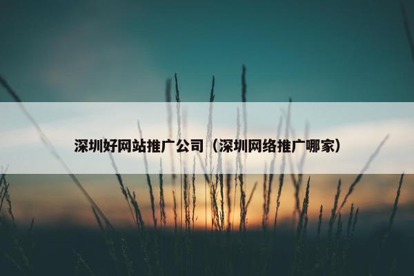 深圳好网站推广公司（深圳网络推广哪家）