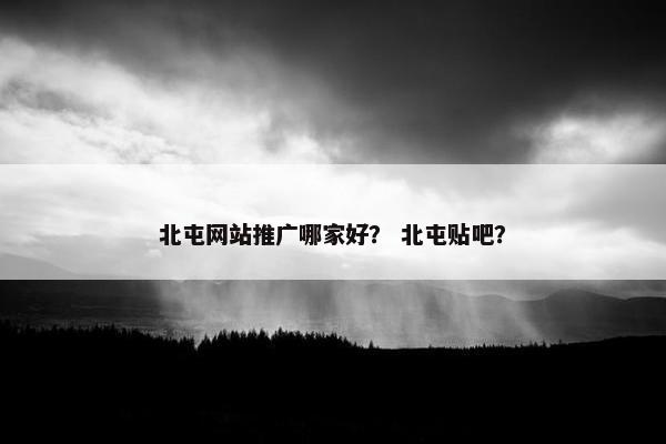 北屯网站推广哪家好？ 北屯贴吧？