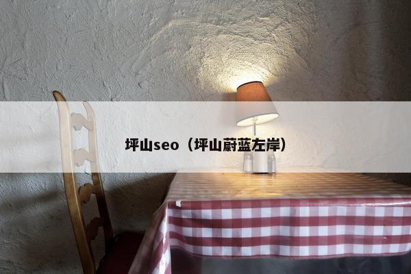 坪山seo（坪山蔚蓝左岸）
