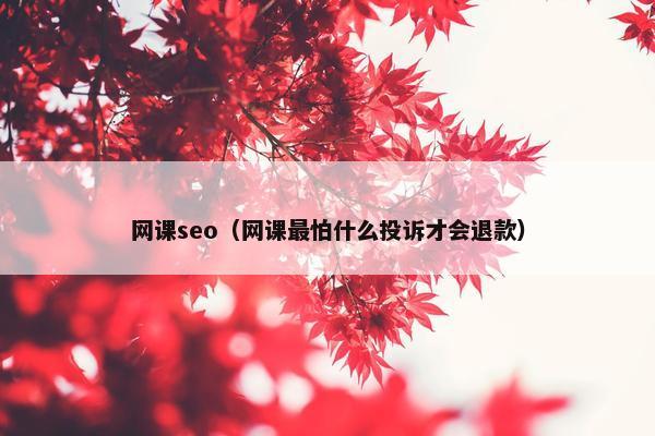 网课seo（网课最怕什么投诉才会退款）