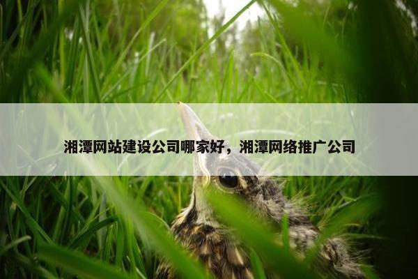 湘潭网站建设公司哪家好，湘潭网络推广公司