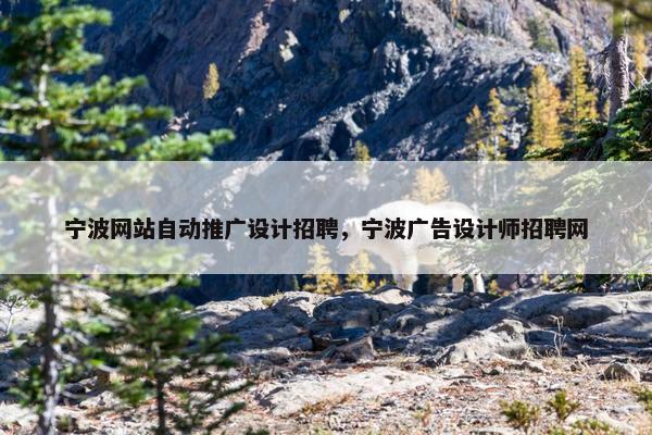 宁波网站自动推广设计招聘，宁波广告设计师招聘网