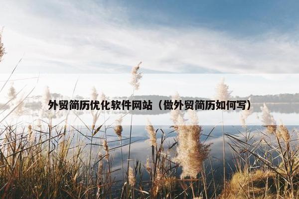 外贸简历优化软件网站（做外贸简历如何写）