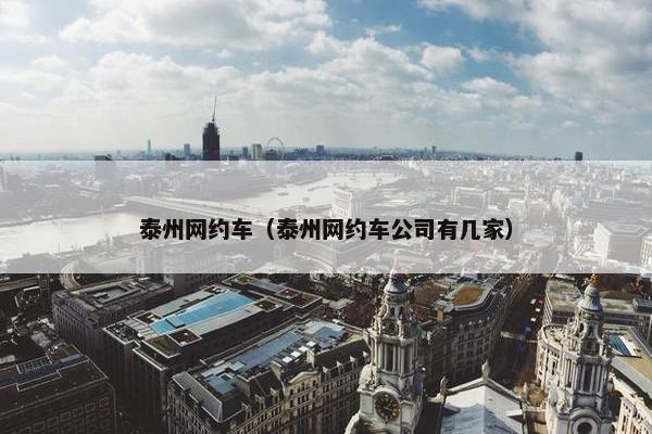 泰州网约车（泰州网约车公司有几家）