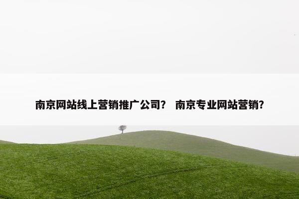 南京网站线上营销推广公司？ 南京专业网站营销？