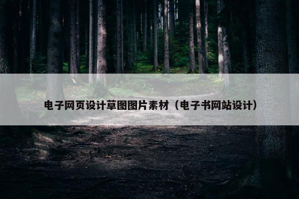 电子网页设计草图图片素材（电子书网站设计）