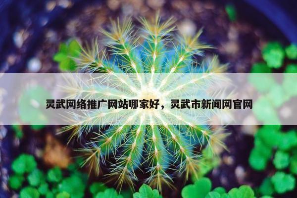 灵武网络推广网站哪家好，灵武市新闻网官网