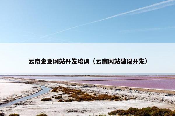 云南企业网站开发培训（云南网站建设开发）