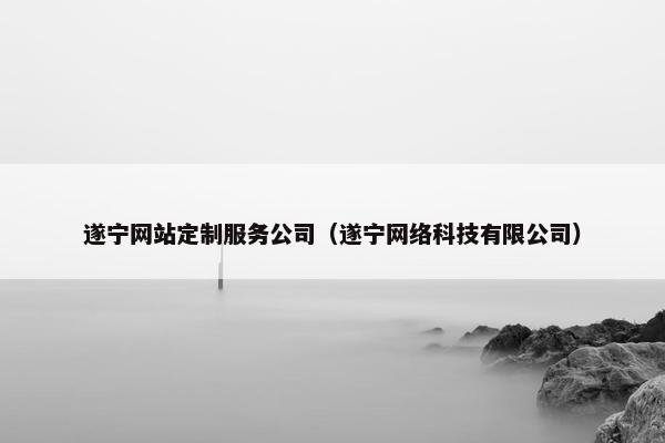 遂宁网站定制服务公司（遂宁网络科技有限公司）