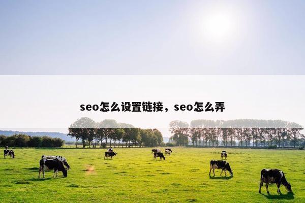 seo怎么设置链接，seo怎么弄