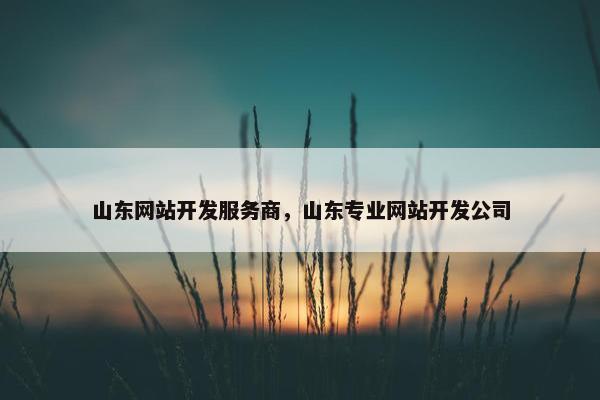 山东网站开发服务商，山东专业网站开发公司