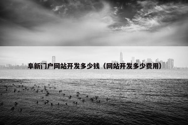 阜新门户网站开发多少钱（网站开发多少费用）
